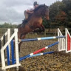 Meet your Posher, Jamie